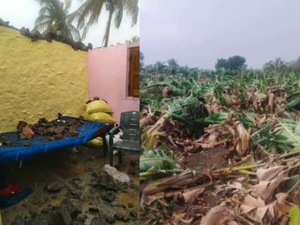 In Solapur, Sangola due to untimely rains, animals were killed by lightning, houses were blown away | अवकाळीचा तडाखा! घरांवरील पत्रे उडाले, वीज पडून जनावरे दगावली; घराची भिंत पडून कुटुंब बचावले