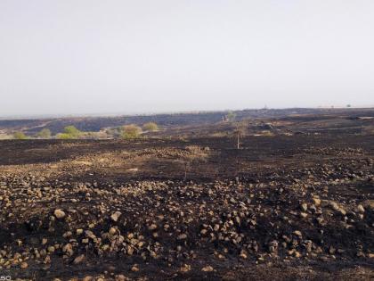 forestry fire at korphale fortunately averted loss of life in solapur | कोरफळे येथील वनीकरणाला आग, सुदैवाने जीवितहानी टळली 