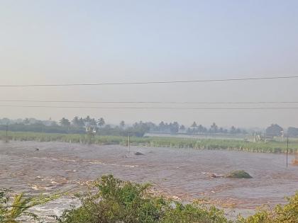 Solapur News Ujni canal burst near Patkul, wells were covered by silt | Solapur | पाटकूलजवळ उजनीचा कालवा फुटला, गाळाने विहीरी बुजल्या