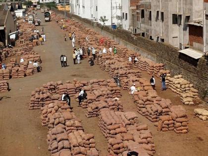 Solapur: Onion auction in Solapur will be closed tomorrow; 1300 onion carts arrived on Monday | Solapur: सोलापुरातील कांदा लिलाव उद्या बंद राहणार; सोमवारी झाली १३०० कांदा गाड्यांची आवक