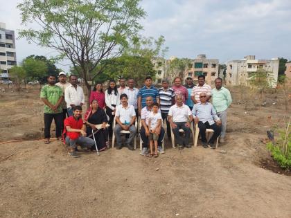 Solapur The trees that were caught in the fire have sprung up again the hard work of environmentalists | सोलापूर : आगीत सापडलेल्या झाडांना पुन्हा फुटली पालवी, पर्यावरणप्रेमींची मेहनत