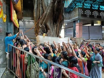 Women throng Akkalkot s Swami Samarth temple for vat purnima solapur | स्वामींच्या वटवृक्ष पूजेसाठी अक्कलकोटच्या स्वामी समर्थ मंदिरात महिलांची गर्दी