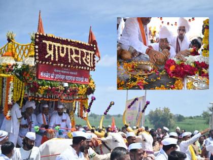 Pandharpur Wari: Mauli...Entry of Saint Dnyaneshwar Maharaj Palkhi in Solapur district amid the cheers of Mauli | Solapur: माऊली...माऊलीच्या जयघोषात संत ज्ञानेश्वर महाराज पालखीचा सोलापूर जिल्ह्यात प्रवेश