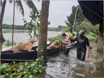 Father and son rescue 150 animals from flood safely | जीवाची बाजी लावली; महापुरातून १५० जनावरांना बाप-लेकाने काढले सुखरूप!