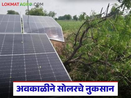Latest News Solar panel damage during unseasonal rains, where and how to file a complaint Read in detail | अवकाळी पावसात सोलर पॅनलचे नुकसान, तक्रार कुठे आणि कशी कराल? वाचा सविस्तर Latest News Solar panel damage during unseasonal rains, where and how to file a complaint Read in detail | अवकाळी पावसात सोलर पॅनलचे नुकसान, तक्रार कुठे आणि कशी कराल? वाचा सविस्तर
