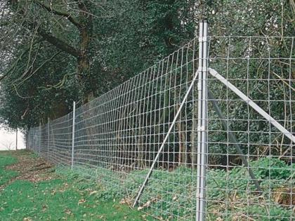 Preparation of solar fence in forest area for protection from wildlife | वन्यप्राण्यांपासून सुरक्षेसाठी वनपरिसरात सौर कुंपणाची तयारी