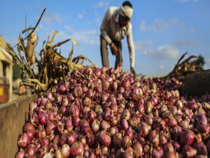 Like every year, even now onion farmers are crying, Central and State Governments no solution is being taken. | कोणालाही कांदा रडविणार नाही याची काळजी घ्यायला हवी