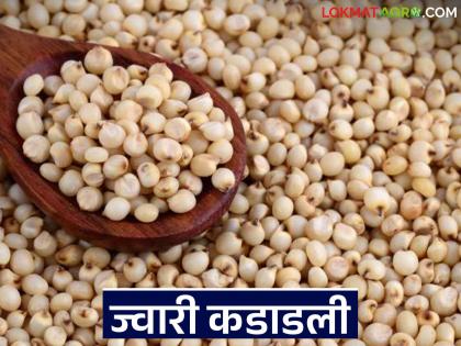The price of sorghum, which is important for health, is now higher than wheat; Read what price is being paid per quintal? | आरोग्यासाठी भारी ठरणाऱ्या ज्वारीचे दर आता गव्हापेक्षा वर; वाचा क्विंटलला काय मिळतोय दर? The price of sorghum, which is important for health, is now higher than wheat; Read what price is being paid per quintal? | आरोग्यासाठी भारी ठरणाऱ्या ज्वारीचे दर आता गव्हापेक्षा वर; वाचा क्विंटलला काय मिळतोय दर?