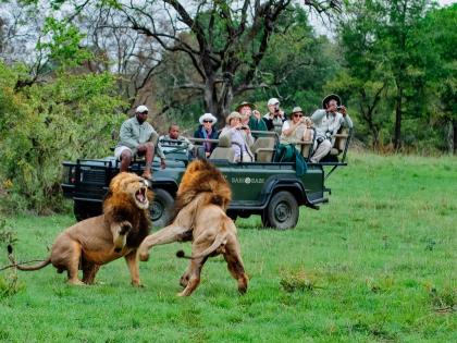 lockdown : DIY - South-Africa-Kruger-National-Park-Photographic-safari- & Tadoba safari In India | ताडोबाच्या जंगलात आणि दक्षिण आफ्रिकेच्या क्रुगर पार्कमध्ये जायचंय? चला लगेच  ..