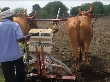 Warning of torrential rain; Don't rush to sow a gram! | मुसळधार पावसाचा इशारा; हरभरा पेरणीची घाई नको!