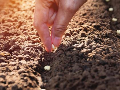 Students will be welcomed in schools with a unique activity 'First step - putting a seed in soil' | 'पहिलं पाऊलं- एक बीज लावून' शाळांमध्ये अनोख्या उपक्रमाने होणार विद्यार्थ्यांचे स्वागत