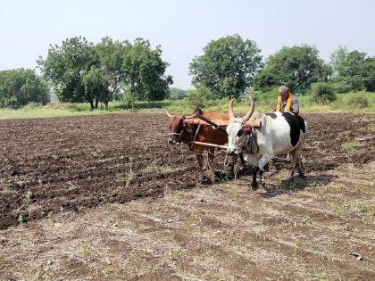 Baliraja's eyes towards the sky; Kharif sowing was disrupted in Nanded district due to lack of rain | बळीराजाचे आभाळाकडे डोळे; नांदेड जिल्ह्यात पावसाअभावी खरीप पेरण्या खोळंबल्या