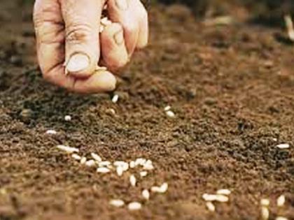 So far only 16% sowing of rabi is done in the state | राज्यात आतापर्यंत केवळ १६ टक्केच रब्बीची पेरणी