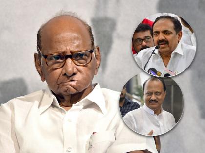 "I don't know about the disqualification of MLAs including Ajit Pawar, 'that' decision is Jayant Patil - Sharad Pawar | "अजित पवारांसह आमदारांच्या अपात्रतेबाबत मला माहिती नाही, 'तो' निर्णय जयंत पाटलांचा"