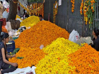 Farmer's flower market filled in Navi Mumbai; The price of marigold is Rs 60 to 100 per kg | नवी मुंबईमध्ये भरला शेतकरी फुलबाजार; झेंडूला प्रतिकिलो ६० ते १०० रुपये भाव