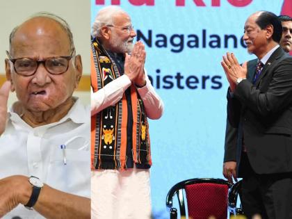 Sharad Pawar decided! NCP will be part of NDPP -BJP led govt in Nagaland | शरद पवारांची राष्ट्रवादी अखेर भाजपासोबत जाणार; नागालँडमध्ये मोठी राजकीय घडामोड