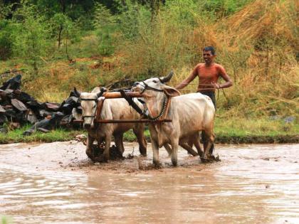 Success Story there was compulsion to wander for a wage of 200 rupees now became a millionaire farmer | कधीकाळी २०० रुपये मजुरीसाठी वणवण भटकायचे अन् आता लखपती झाले शेतकरी