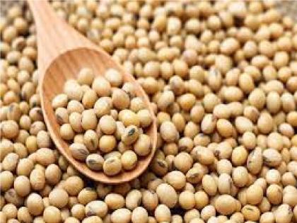 Big fall in soybean prices, Aadhaar for farmers taran scheme | सोयाबीनच्या दरात मोठी घसरण, विकण्याची घाई कशाला?; शेतकऱ्यांना तारण योजनेचा आधार