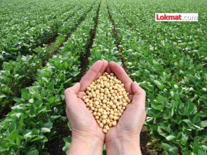 Kharif season compensation, benefit of subsidy to 12 thousand soybean farmers | खरीप हंगामातील नुकसान भरपाई, १२ हजार सोयाबीन उत्पादक शेतकऱ्यांना अनुदानाचा फायदा