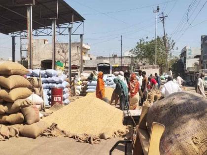 Soybean rates per quintal stable as inflows slow! Know the status of Latur | आवक मंदावल्याने साेयाबीनचे प्रति क्विंटल दर स्थिर! लातुरात काय स्थिती, जाणून घ्या