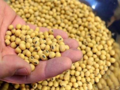 Nature also causes soybean to grow less; In many places in the state, up to 90 per cent germination has been claimed | सोयाबीन कमी उगवण्याला निसर्गही कारणीभूतच; राज्यात अनेक ठिकाणी ९० टक्क्यांपर्यंत उगवण झाल्याचा दावा