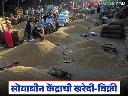 सोयाबीन खरेदी केंद्र उघडायचं, चार लाख रुपये लागतील, विजय वडेट्टीवार यांनी मांडली लक्षवेधी