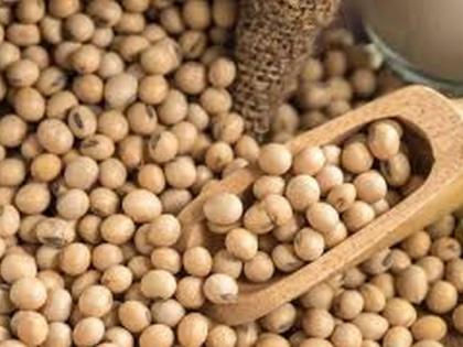 SoyaBeans prices will rise | सोयाबीनचे दर वाढणार