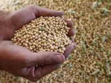 Six more seed companies on Agriculture Department's 'Radar'! | आणखी सहा बियाणे कंपन्या कृषी विभागाच्या 'रडार'वर!