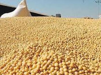 Soybean prices drop sharply! | सोयाबीनच्या दरात मोठी घट!