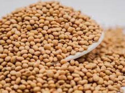 Lack of required documentation; Sales of 1846 bags of soybeans stopped | आवश्यक कागदपत्रांचा अभाव; सोयाबीनच्या १८४६ बॅगची विक्री थांबविली 