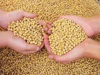 Eight thousand quintals of Mahabeej seeds left | महाबीजचे आठ हजार क्विंटल बियाणे शिल्लक