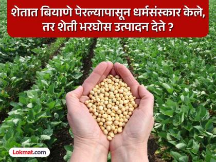 pune news the claim that chanting mantras can increase soybean yield is unscientific | मंत्रोच्चार ऐकविले अन् सोयाबीन उत्पादन वाढले;मंत्रोच्चाराने सोयाबीनचे पीक वाढण्याचा दावा अशास्त्रीय