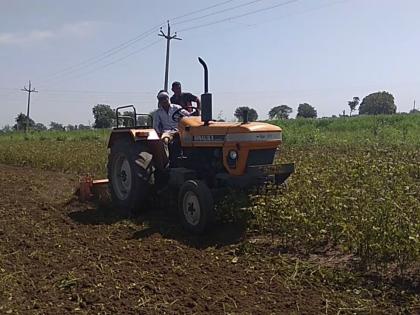 Soybean Crop Farmer Made Junkyard! | उभे सोयाबीन पिक शेतकर्‍याने केले जमीनदोस्त!