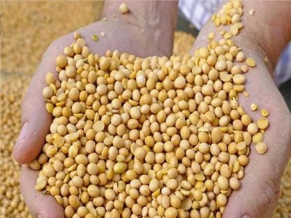 Soybeans fall in price, even rice is barely priced; Farmers in trouble | सोयाबीनची कवडीमोल दराने विक्री, भातालाही जेमतेमच दर; शेतकरी अडचणीत