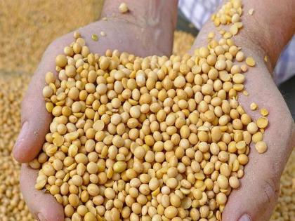 Soybean prices down to 5 thousand; A blow to the farmers | सोयाबीनचे दर ५ हजारांपर्यंत उतरले; शेतकऱ्यांना दणका