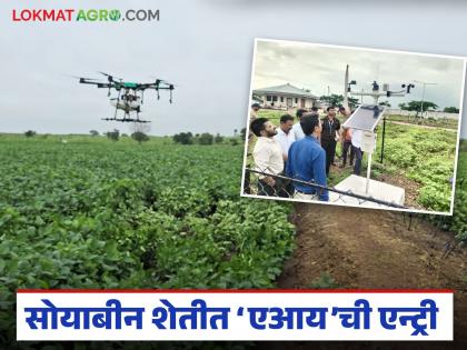 latest news Soybean AI Farming: Smart farming experiment in Dharashiv; Soybean yield increased due to AI | Soybean AI Farming : धाराशिवमध्ये स्मार्ट शेतीचा प्रयोग; AI मुळे सोयाबीनचे उत्पन्न वाढले latest news Soybean AI Farming: Smart farming experiment in Dharashiv; Soybean yield increased due to AI | Soybean AI Farming : धाराशिवमध्ये स्मार्ट शेतीचा प्रयोग; AI मुळे सोयाबीनचे उत्पन्न वाढले