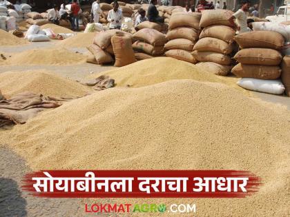latest news Soybean Market: Large arrival of soybeans in Risod; Prices also skyrocket! | Soybean Market : रिसोडमध्ये सोयाबीनची मोठी आवक; भावातही उंच भरारी! latest news Soybean Market: Large arrival of soybeans in Risod; Prices also skyrocket! | Soybean Market : रिसोडमध्ये सोयाबीनची मोठी आवक; भावातही उंच भरारी!