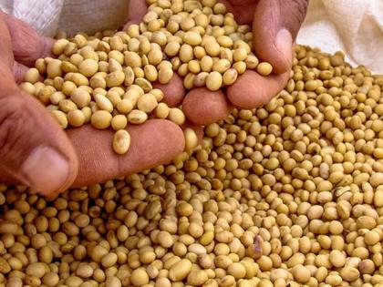 Only 3 lakh quintals of soybean certified! | केवळ ३ लाख क्विंटल ‘सोयाबीन’चेच प्रमाणीकरण!