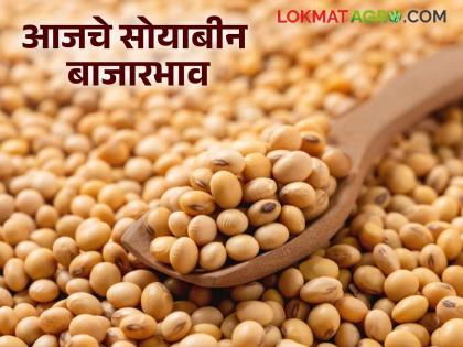 latest news Soybean Bajar Bhav : Soybean arrivals decreased but prices increased; 'Ya' market crosses the 5 thousand mark | Soybean Bajar Bhav : सोयाबीनची आवक घटली पण दर वाढले; 'या' बाजारात ५ हजाराचा टप्पा पार latest news Soybean Bajar Bhav : Soybean arrivals decreased but prices increased; 'Ya' market crosses the 5 thousand mark | Soybean Bajar Bhav : सोयाबीनची आवक घटली पण दर वाढले; 'या' बाजारात ५ हजाराचा टप्पा पार