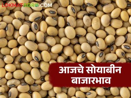 latest news Soybean Bajar Bhav : Fluctuations in soybean prices; Inflows slowed | Soybean Bajar Bhav : सोयाबीनचे दर चढ- उतार; आवक मंदावली वाचा सविस्तर latest news Soybean Bajar Bhav : Fluctuations in soybean prices; Inflows slowed | Soybean Bajar Bhav : सोयाबीनचे दर चढ- उतार; आवक मंदावली वाचा सविस्तर