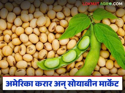What is the immediate impact of the India-US agreement on the soybean market? Did the prices increase or decrease? | भारत-अमेरिका कराराचा सोयाबीन बाजारावर तत्काळ परिणाम? दर वाढले की कमी झाले? What is the immediate impact of the India-US agreement on the soybean market? Did the prices increase or decrease? | भारत-अमेरिका कराराचा सोयाबीन बाजारावर तत्काळ परिणाम? दर वाढले की कमी झाले?