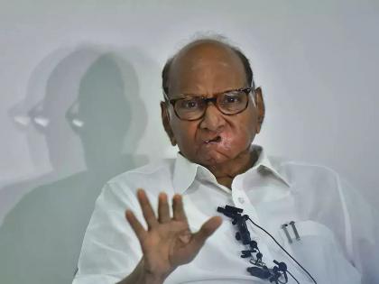 Don't draw conclusions on the survey; Sharad Pawar's reaction on seat prediction in loksabha | लोकसभा निवडणूक सर्व्हेवर निष्कर्ष काढू नये, कारण...; शरद पवारांची प्रतिक्रिया