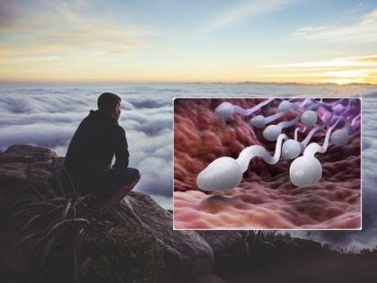 Sperm count in Indian men show a sharp decline reveals new study!