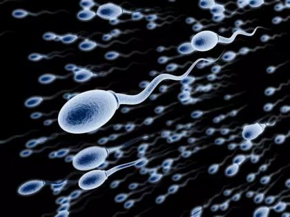 Significant decline in human sperm count worldwide, risk of shortening life expectancy | जगभरात मानवी शुक्राणूंच्या संख्येत लक्षणीय घट, आयुर्मान कमी होण्याचा धोका