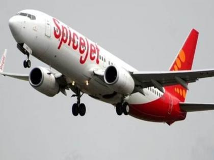 Spice jet owner interested in buying go first | स्पाईस जेटच्या मालकाला गो-फर्स्टच्या खरेदीत रस