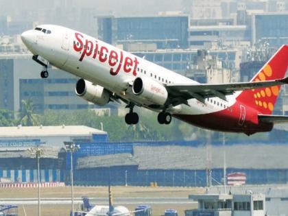 ransomware attack on SpiceJet Airlines system impact aeroplane timetable | स्पाइसजेट विमान कंपनीच्या यंत्रणेवर रॅन्समवेअर हल्ला