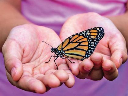 Whatever happens is entirely in our transcendental interest! - Tukaram Maharaj | जे घडते ते पूर्णपणे आपल्या पारमार्थिक हिताचेच असते! - तुकाराम महाराज 