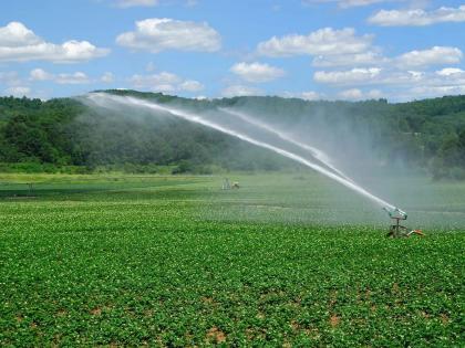 Emphasis on water saving, in Chhatrapati Sambhajinagar, 92 thousand farmers have taken drip, frost sets from poker | पाणी बचतीवर भर! छत्रपती संभाजीनगरात ९२ हजार शेतकऱ्यांनी पोकरातून घेतले ठिबक,तुषार सेट