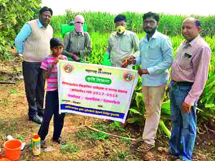 Spraying demonstration officer directly on farm builds! | फवारणीच्या प्रात्यक्षिकासाठी अधिकारी थेट शेत बांधावर!