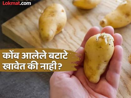 Sprouted potato is dangerous to health, know how to prevent it from being sprouting | कोंब आलेले बटाटे खाल्ल्याने काय होतं? वाचाल तर लगेच असे बटाटे बाहेर फेकाल!